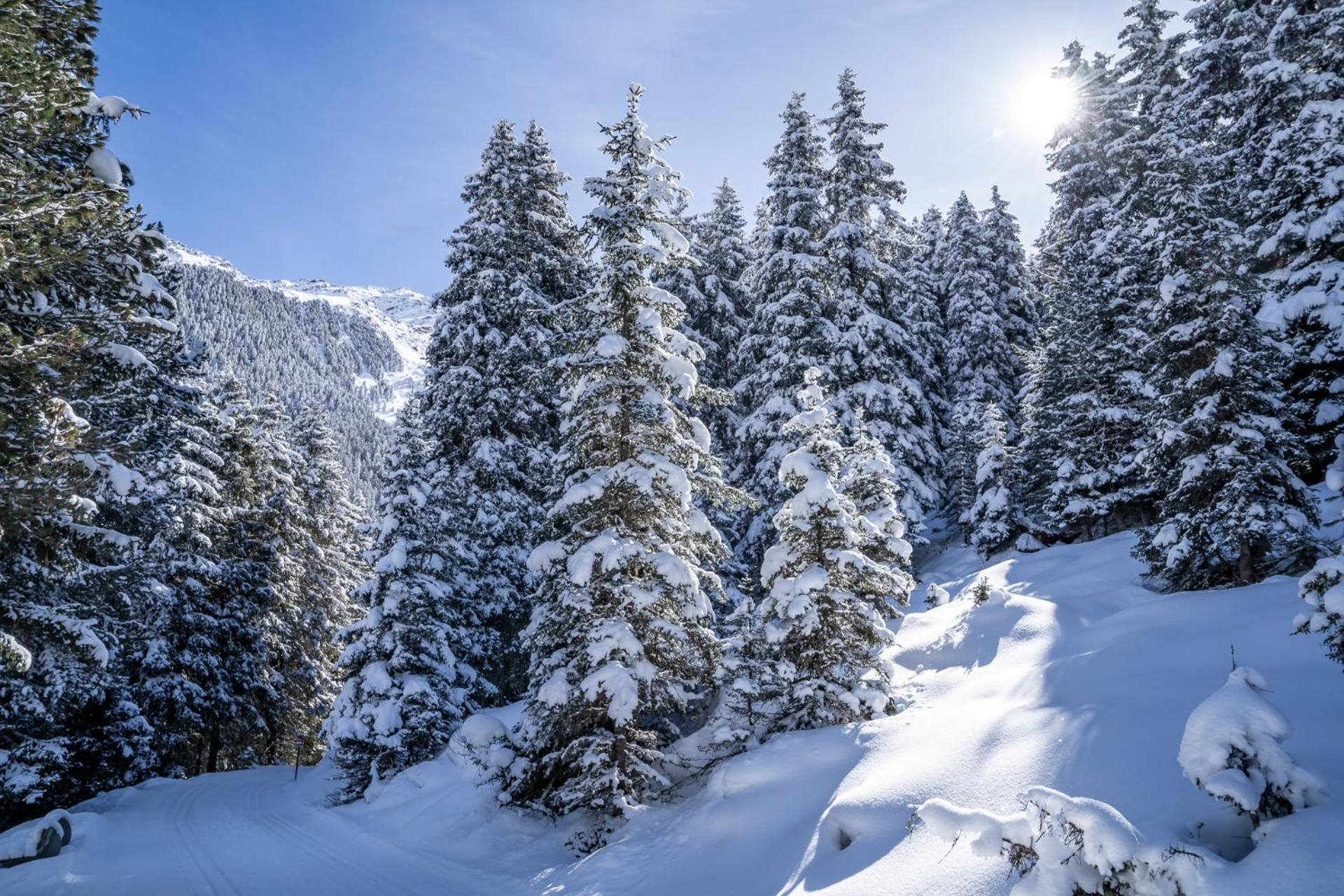 Alpengasthof Praxmar Sankt Sigmund im Sellrain Εξωτερικό φωτογραφία